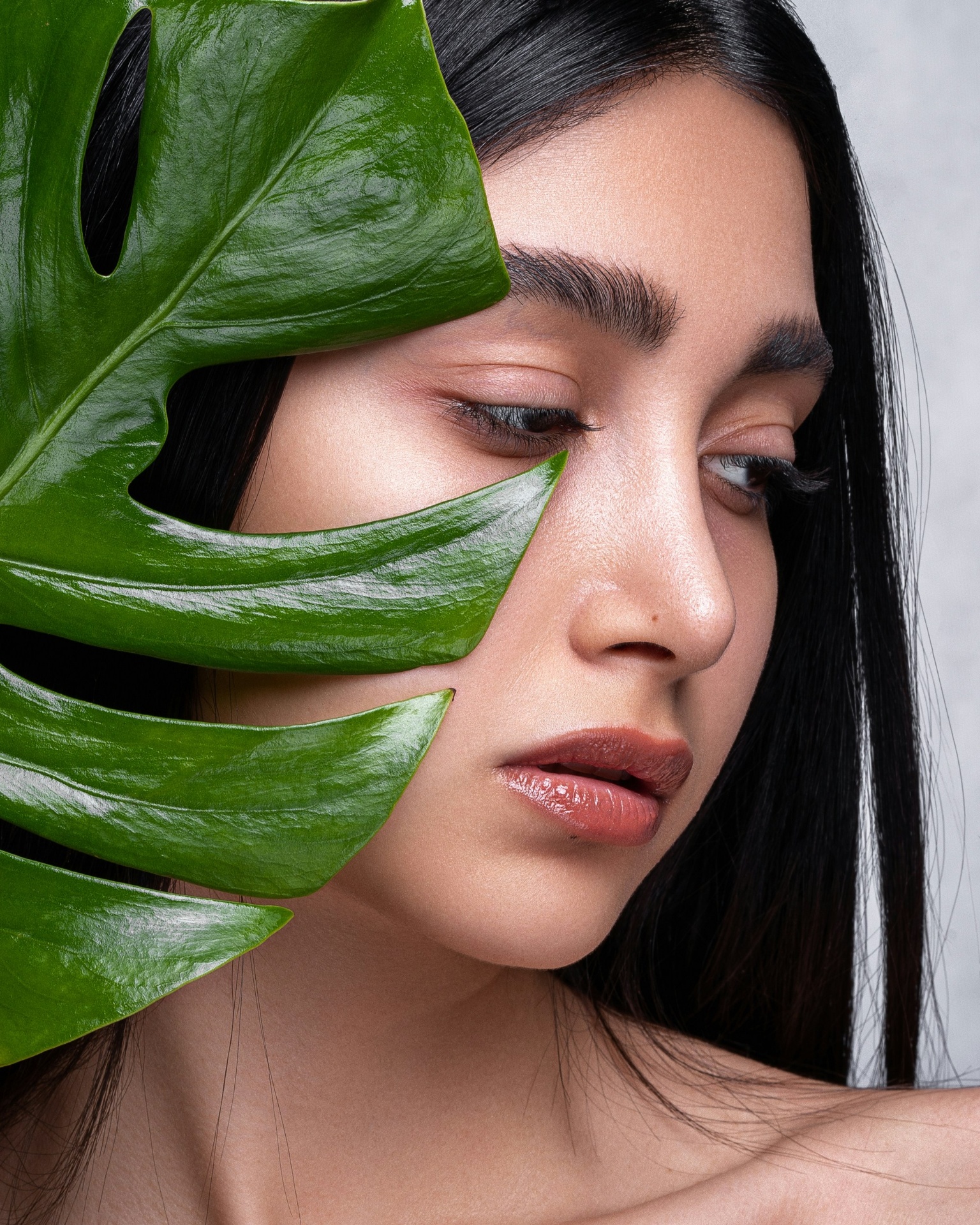 Ritratto botanico con una foglia tropicale verde